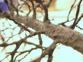 Макет дерева для диорамы из лиственного мата